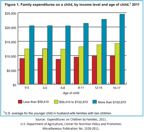 Child Expenses Figure 1